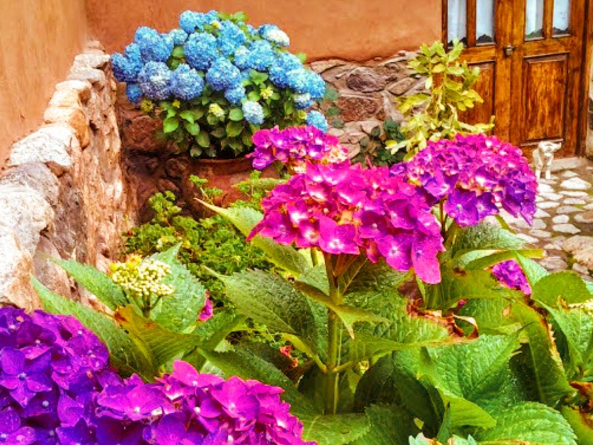 Hotel Lizzy Wasi Urubamba Esterno foto